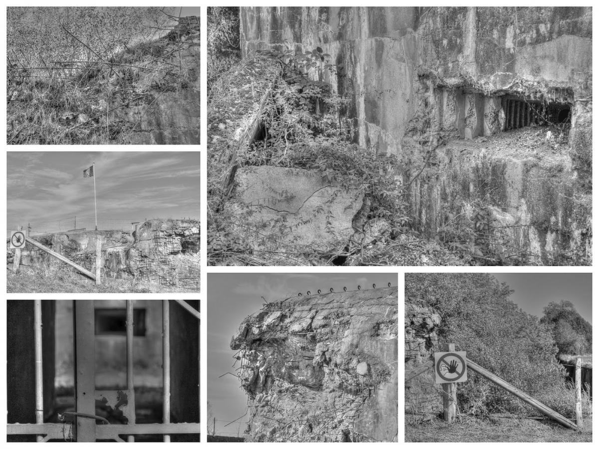 Collage_Fotor3x.jpg