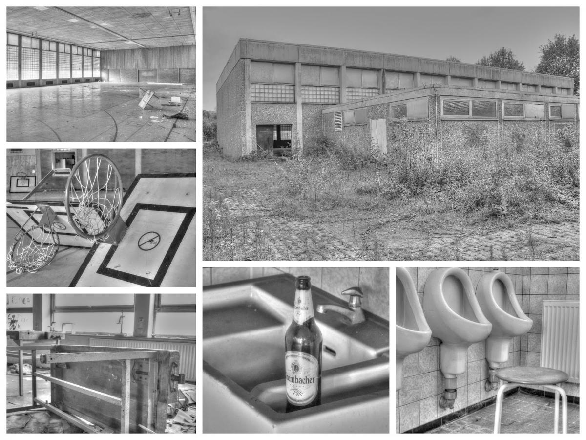 Collage_Fotor3x.jpg