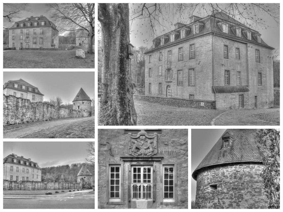 Collage_Fotorx.jpg