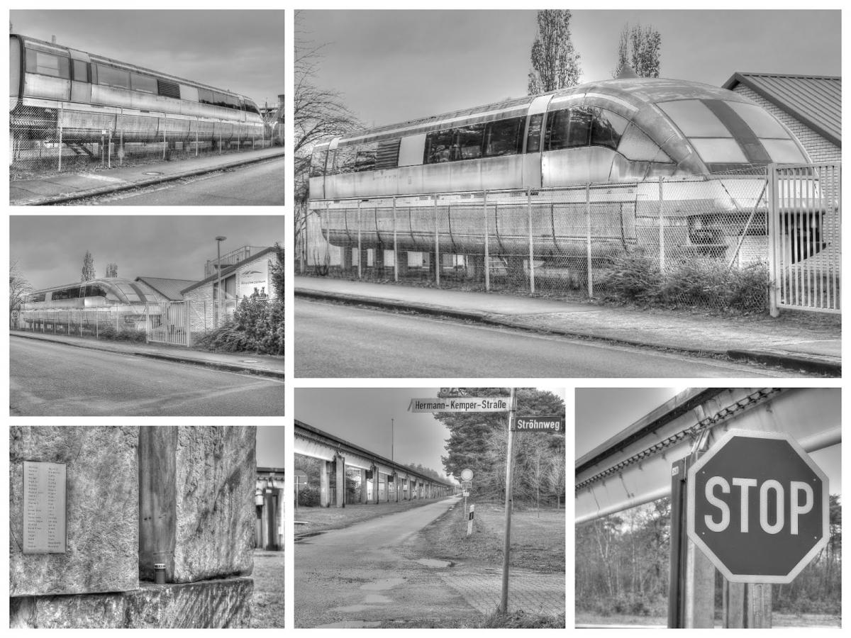 Collage_Fotorx.jpg