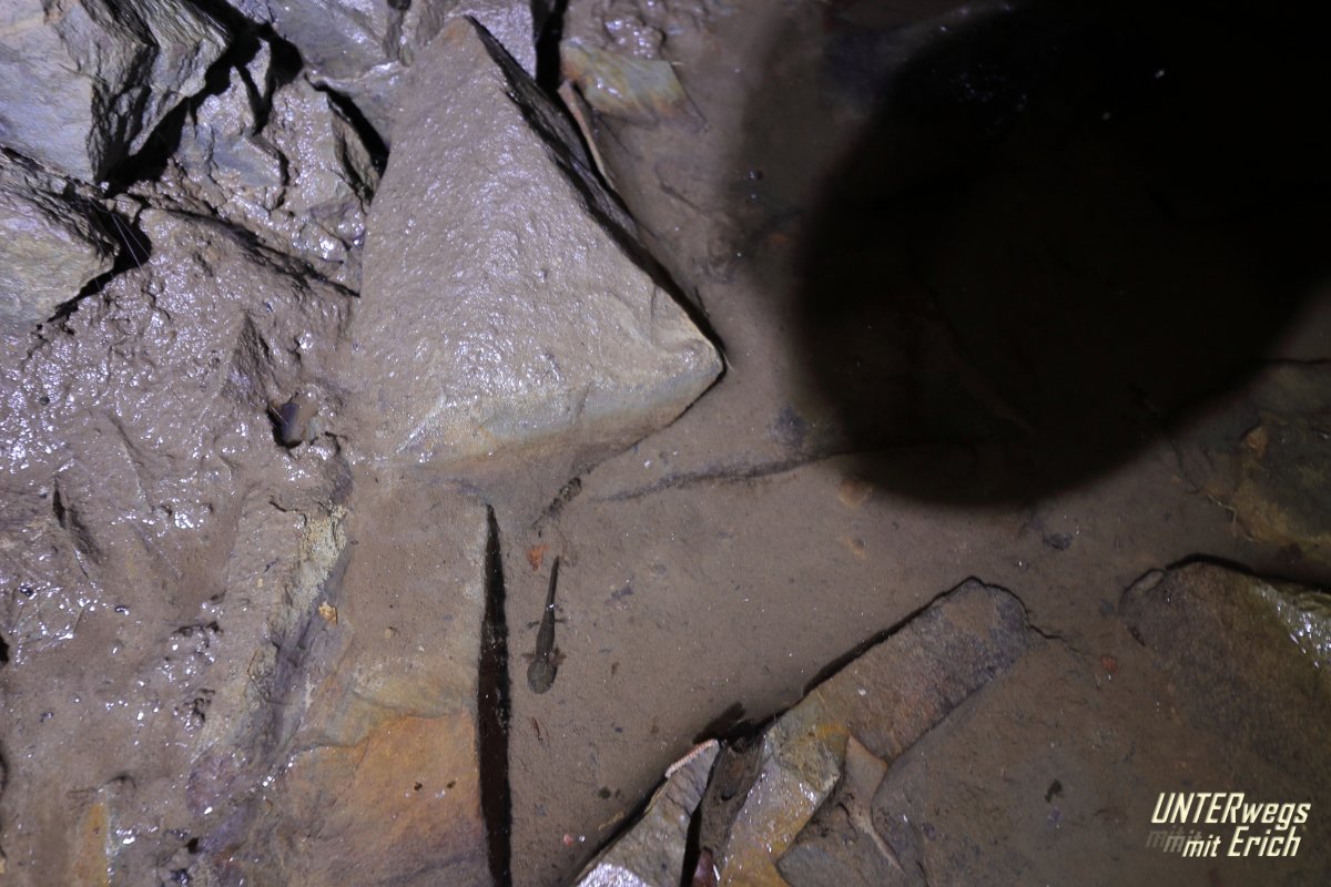 CU-Berg_F05A-202507.JPG