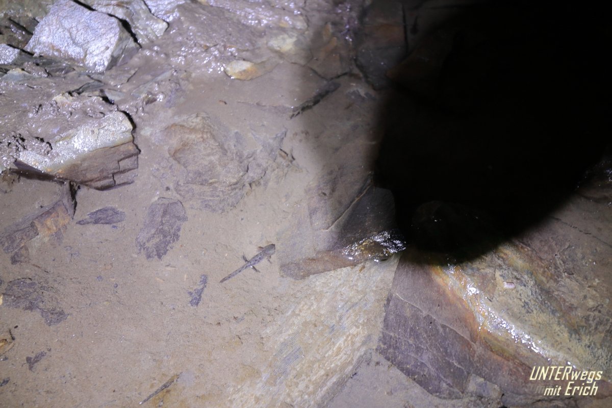 CU-Berg_F05B-202507.JPG