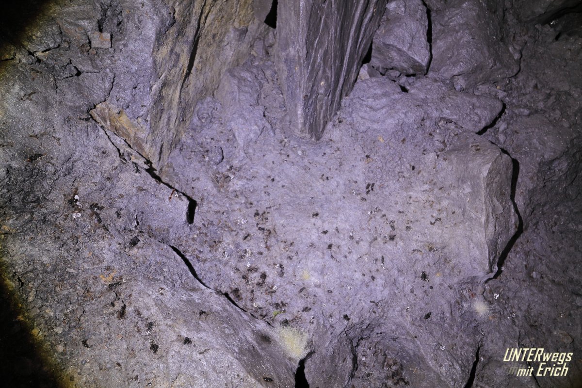 CU-Berg_F12-202507.JPG