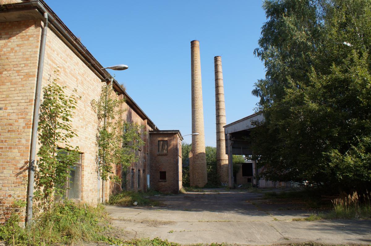 DSC01242.JPG