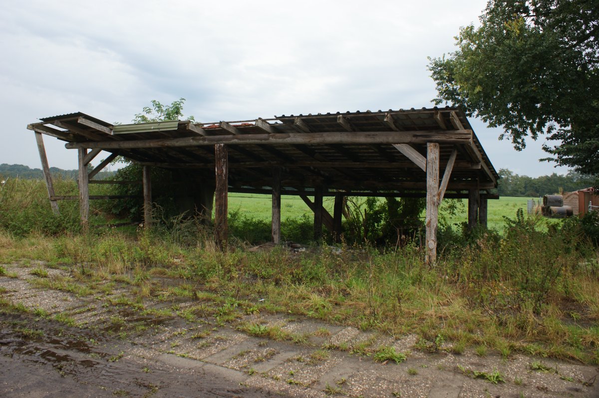 DSC03272.JPG