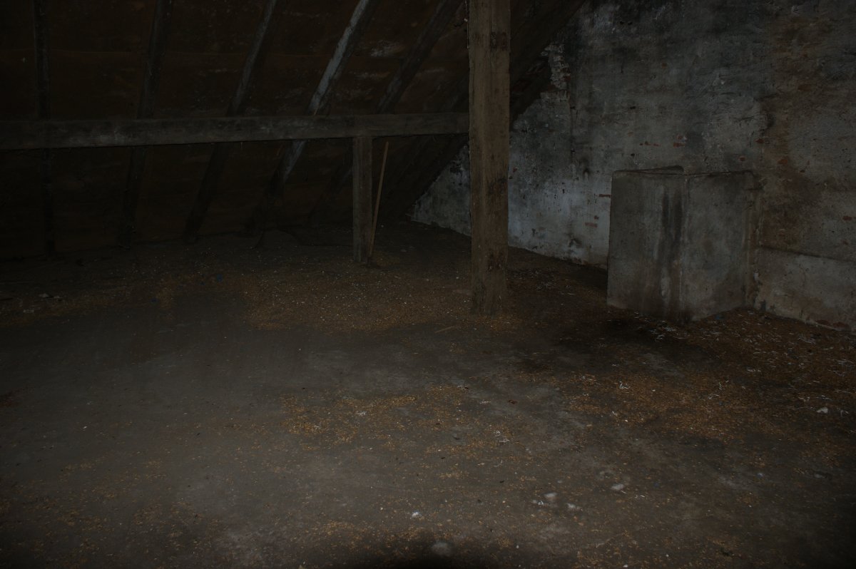 DSC03314.JPG