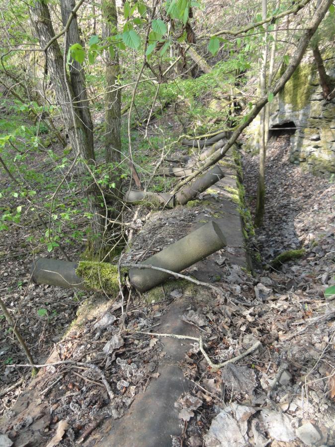 DSC05873.JPG