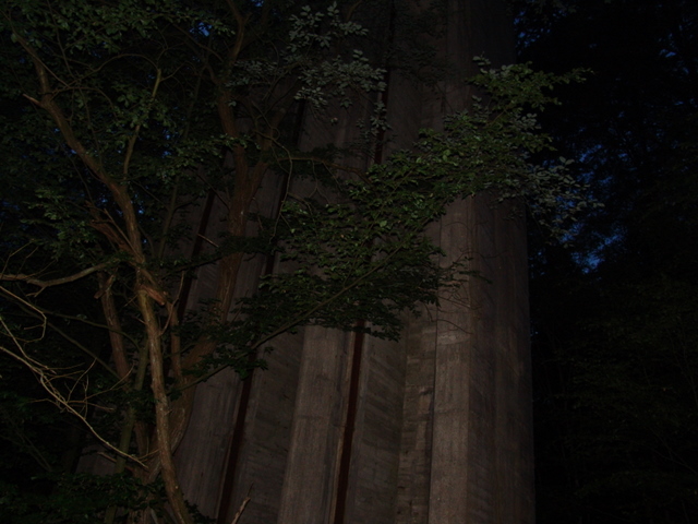 DSC09769.JPG