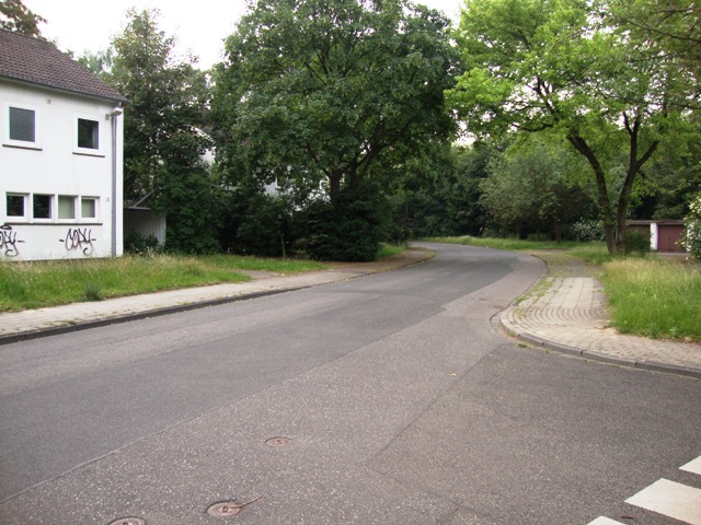 DSC09825.JPG