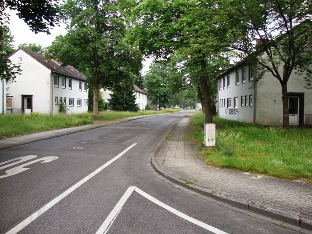 DSC09826.JPG