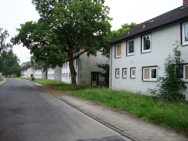 DSC09831.JPG
