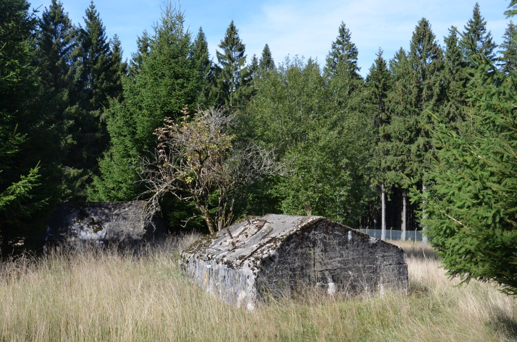 DSC_0059.jpg
