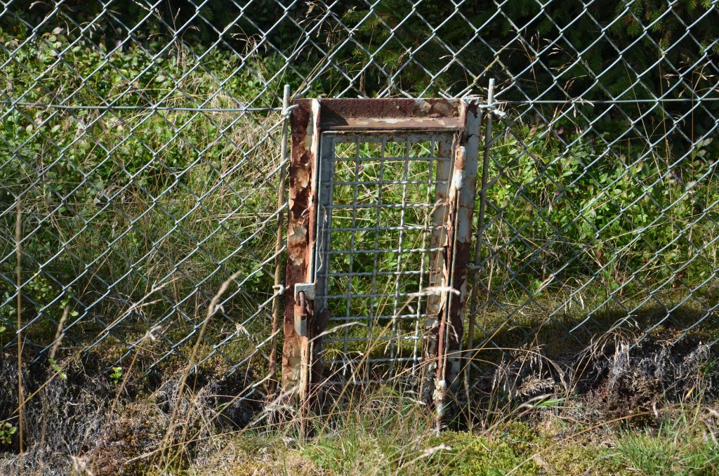 DSC_0065.jpg