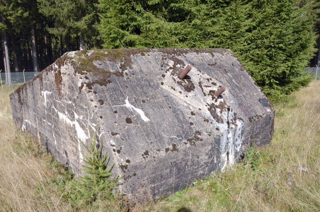 DSC_0068.jpg