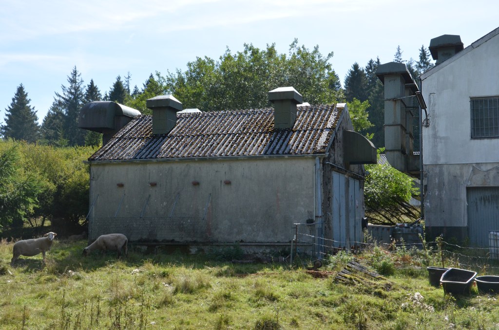 DSC_0074.jpg