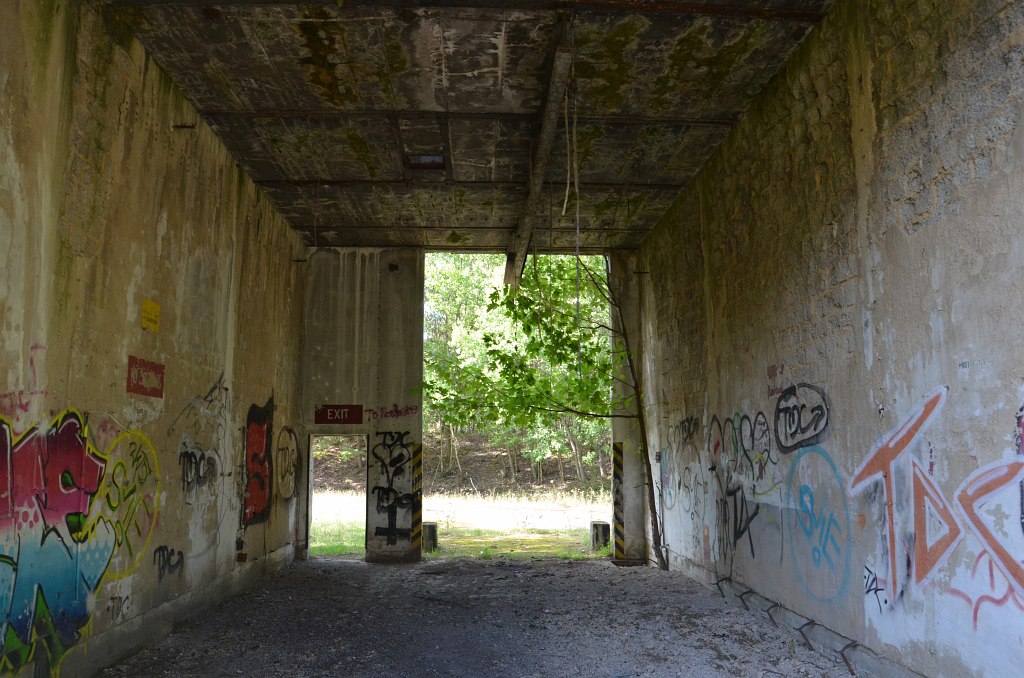 DSC_0190.JPG