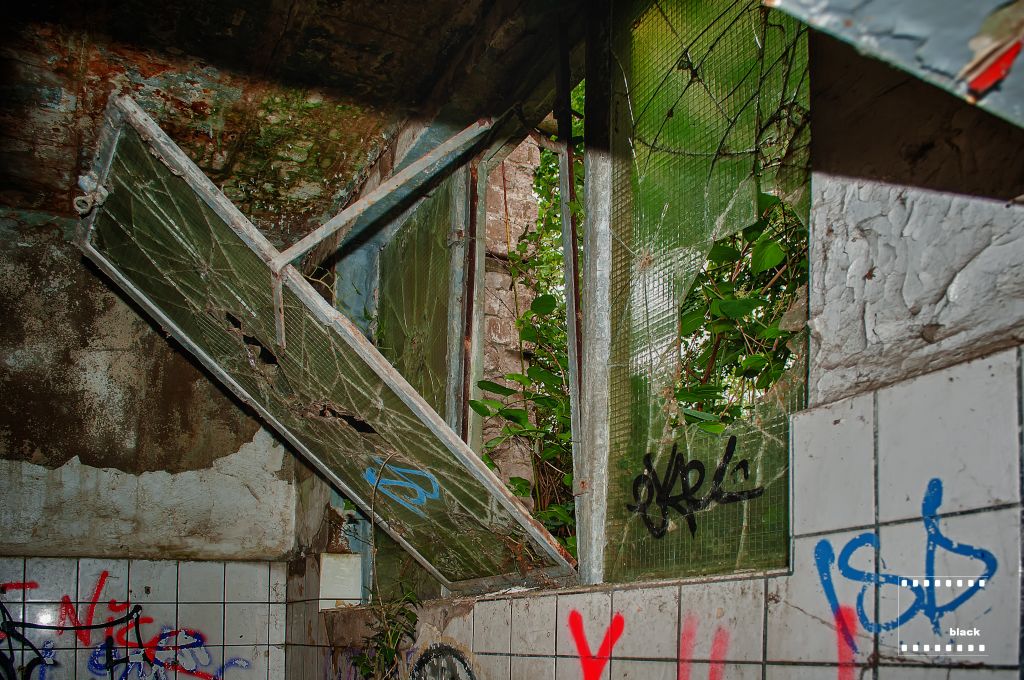 DSC_2340b.jpg