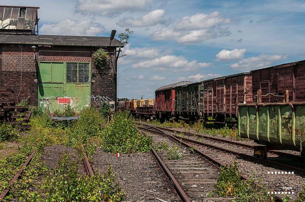 DSC_4216b.jpg