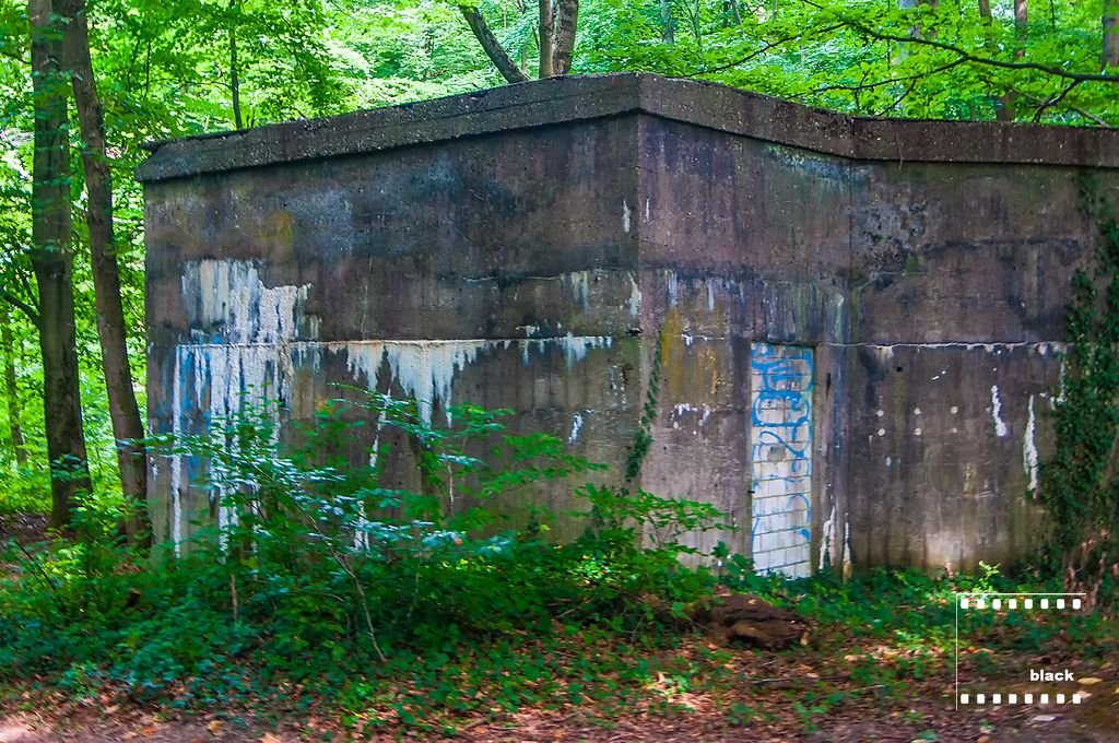 DSC_4534_urwkk.jpg