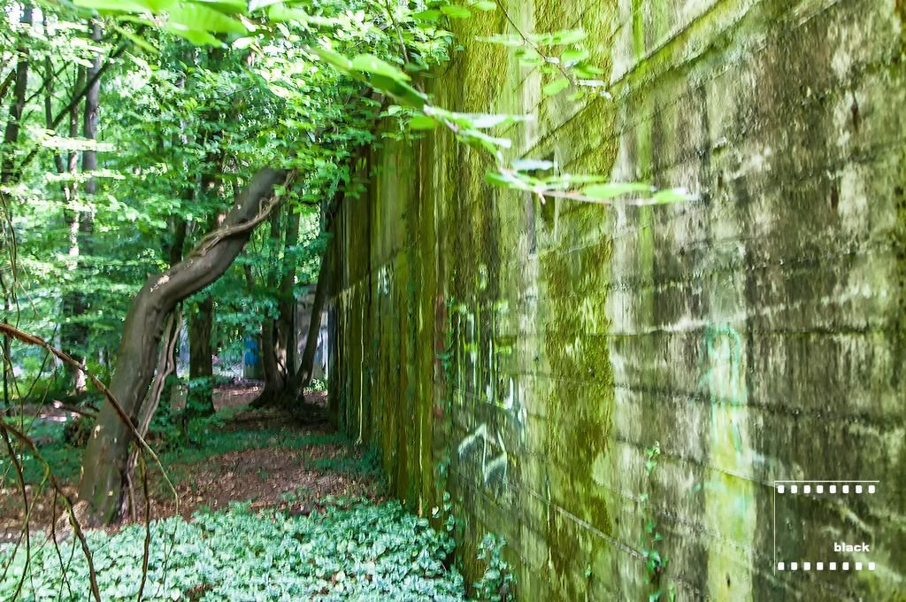 DSC_4541_urwkk.jpg