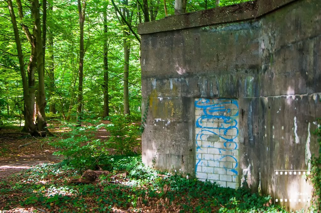 DSC_4545_urwkk.jpg