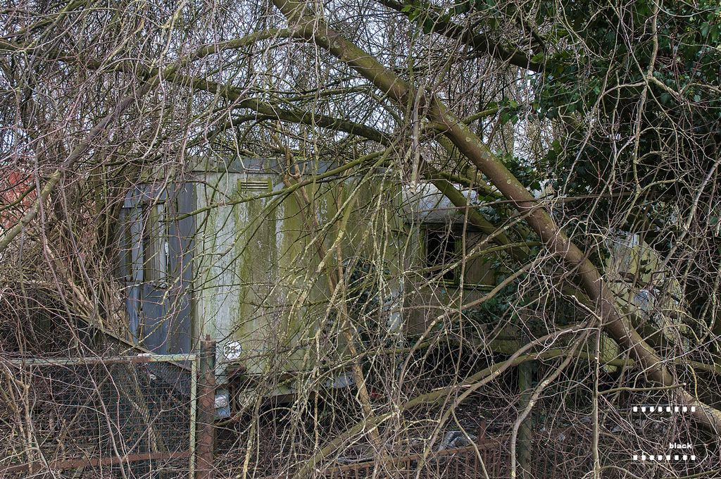 DSC_5296b.jpg