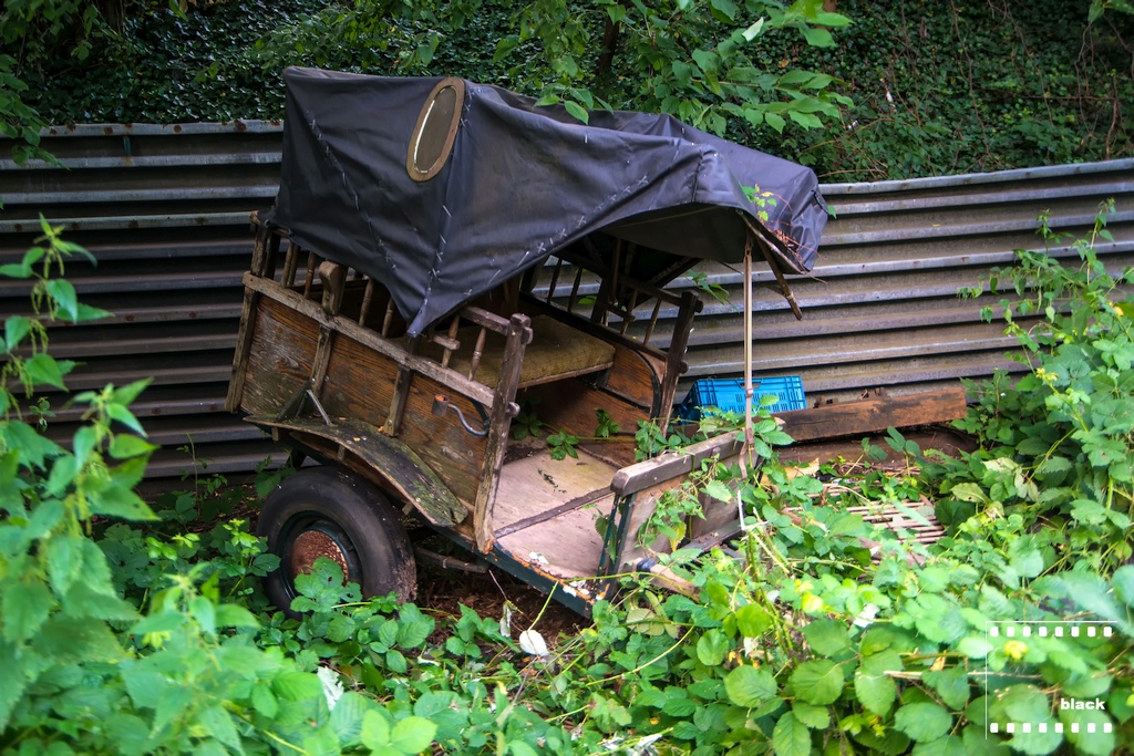 DSC_7186HdS.jpg