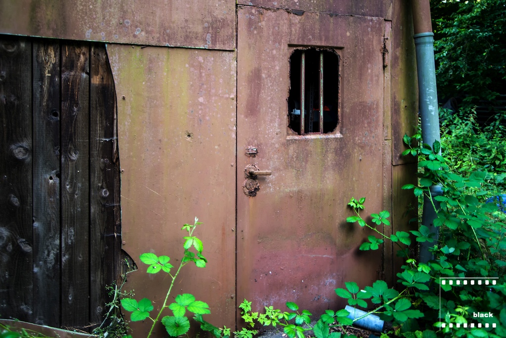 DSC_7188HdS.jpg
