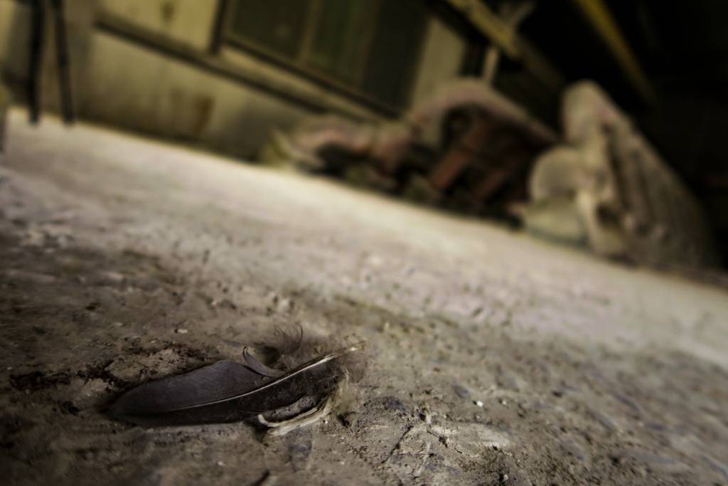 DSC_7325.jpeg