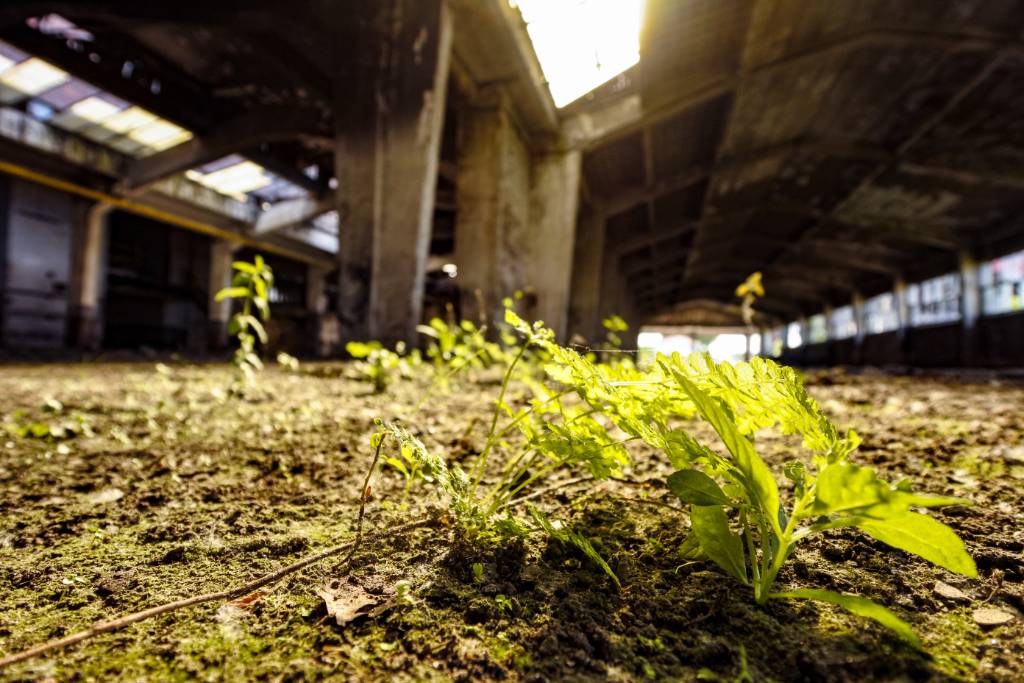 DSC_7461.jpeg