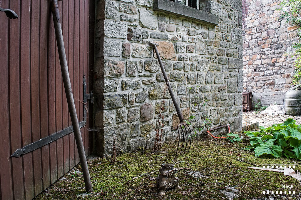 DSC_8457_b.jpg