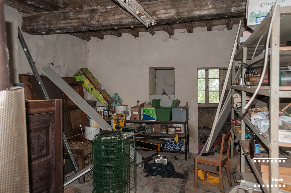 DSC_8465_b.jpg