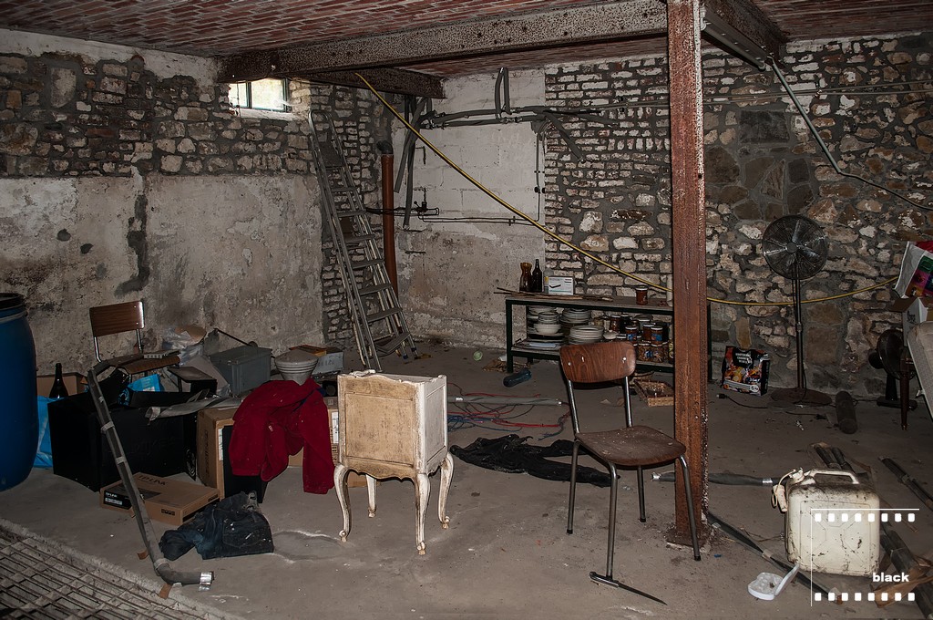 DSC_8478_b.jpg