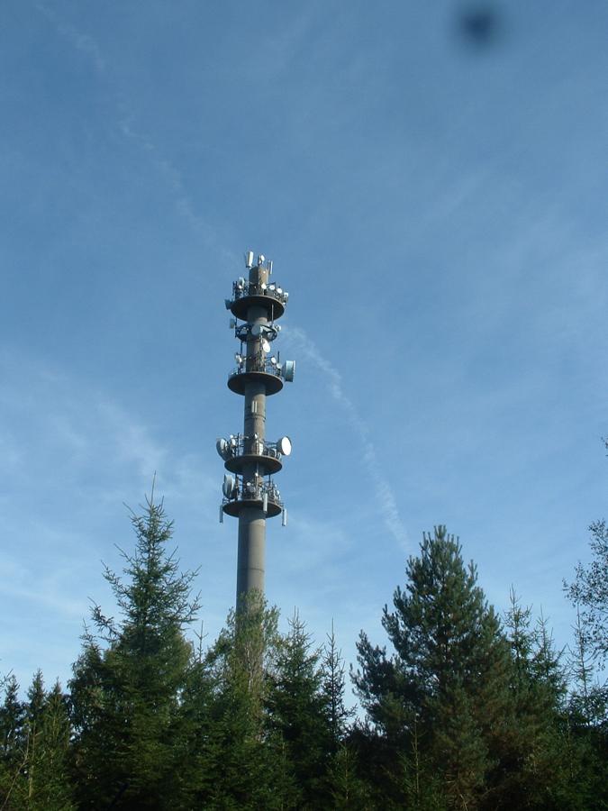 DSCF0060.JPG