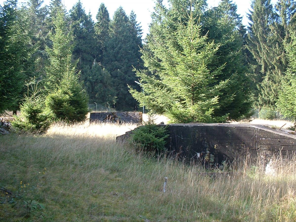 DSCF0085.JPG