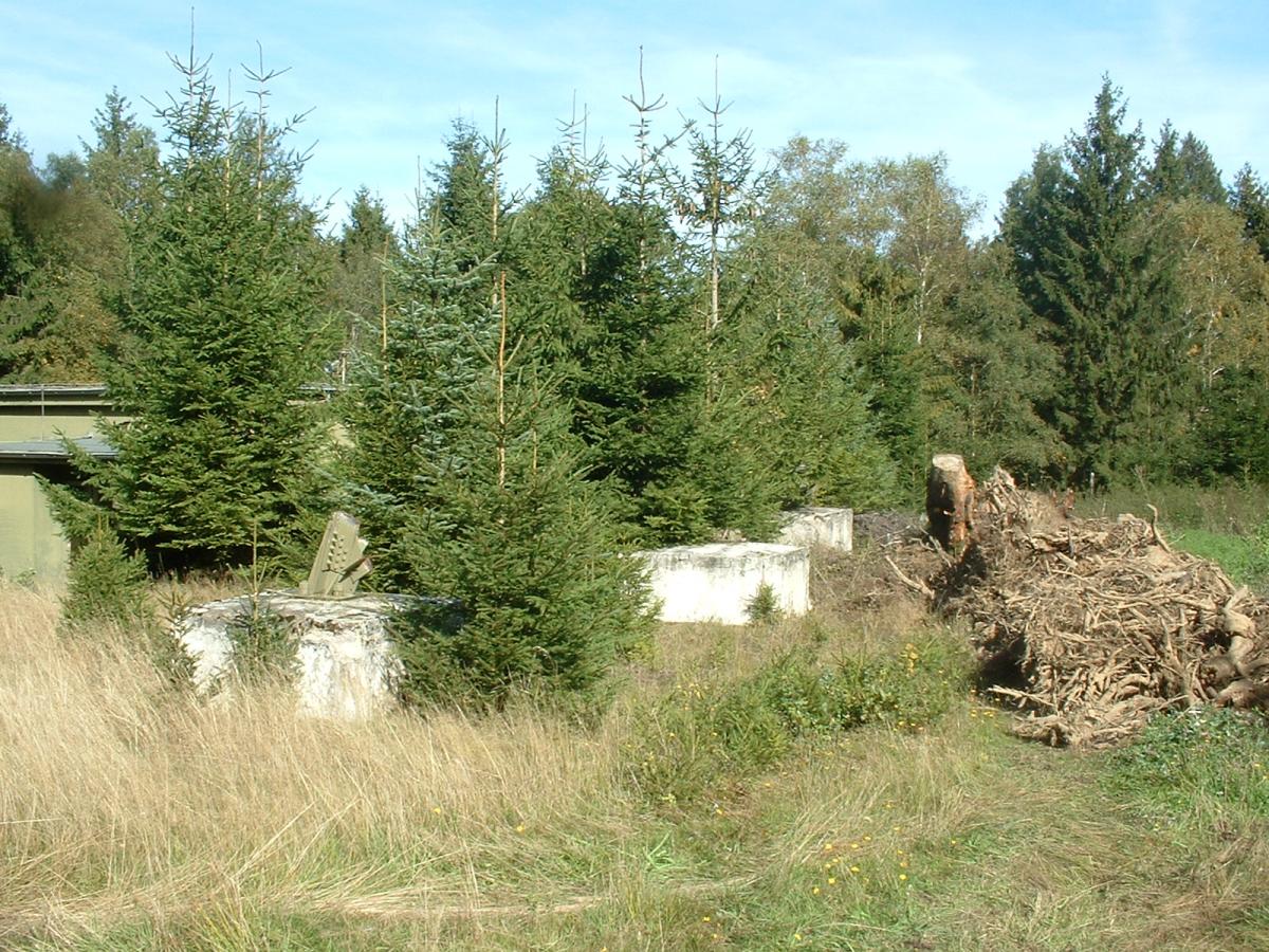 DSCF0106.JPG