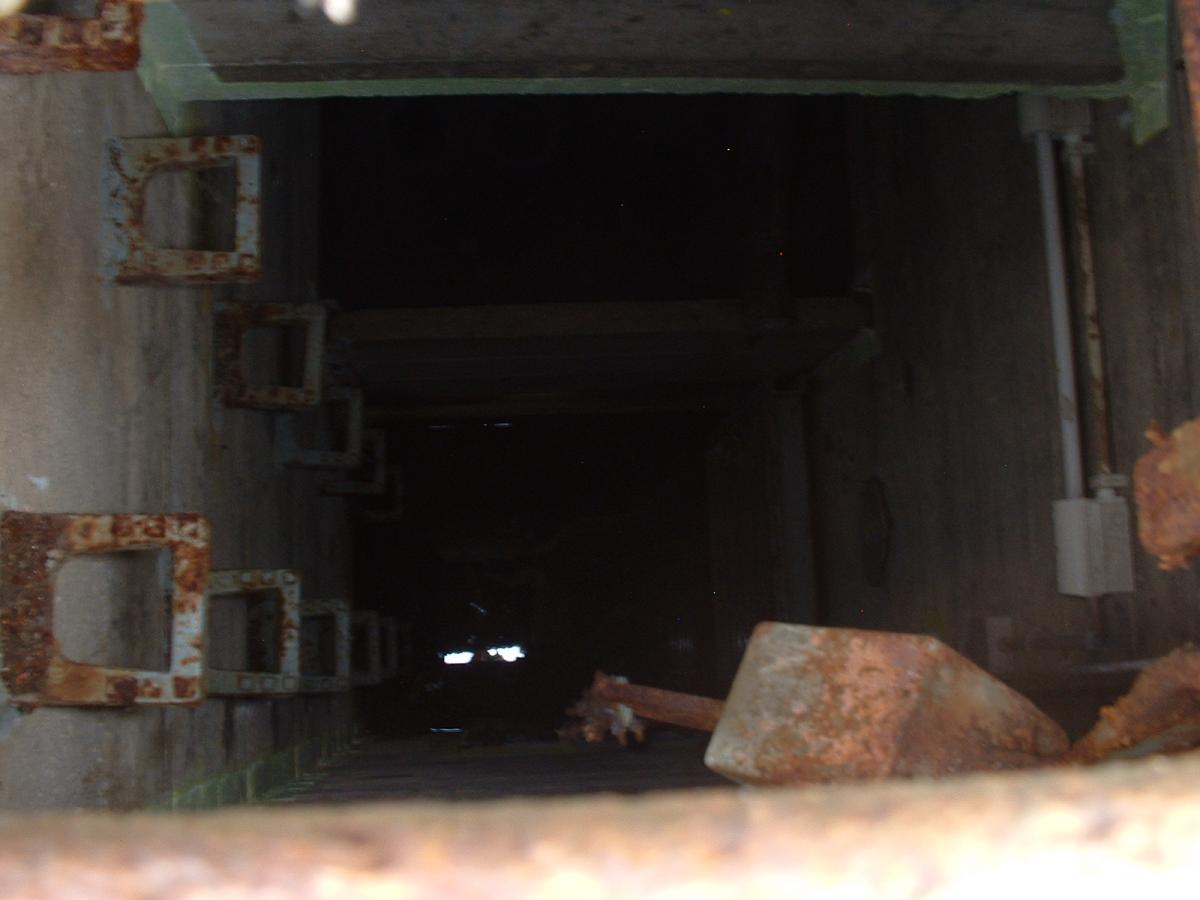 DSCF0151.JPG