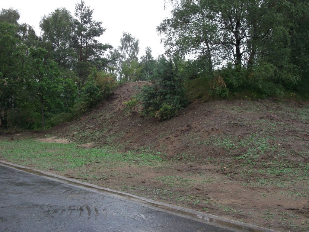 DSCF0239.JPG
