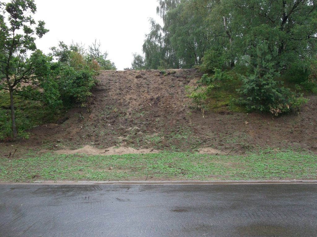 DSCF0241.JPG