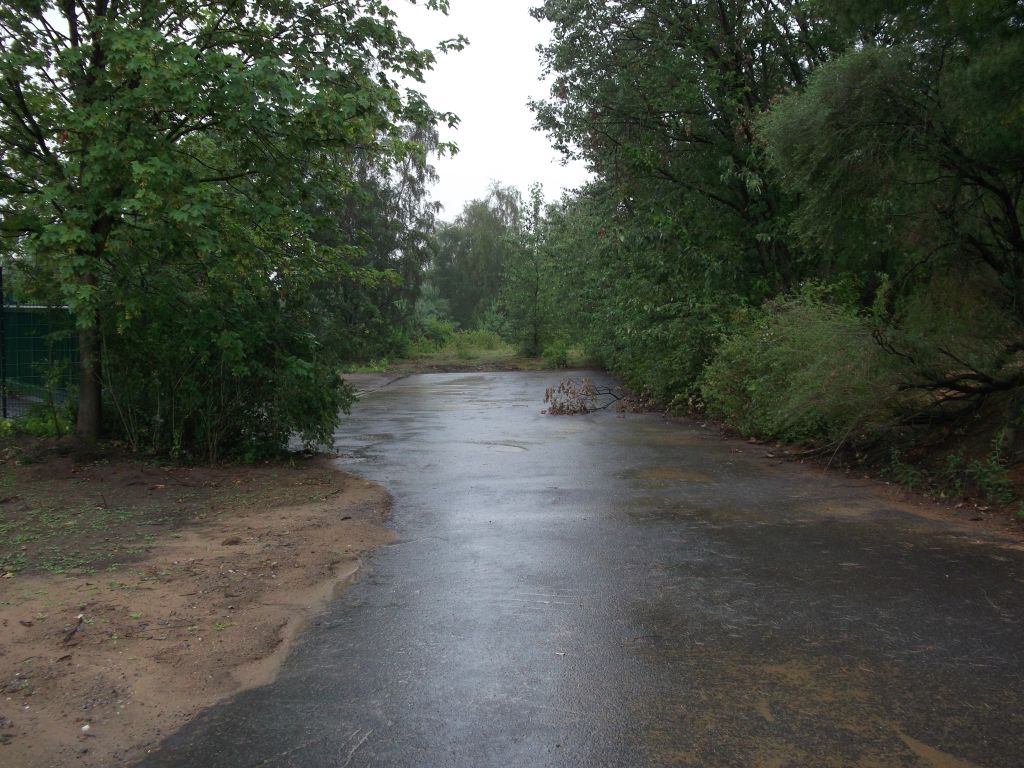 DSCF0243.JPG