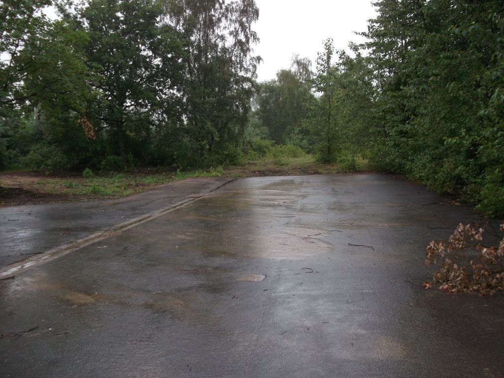 DSCF0245.JPG