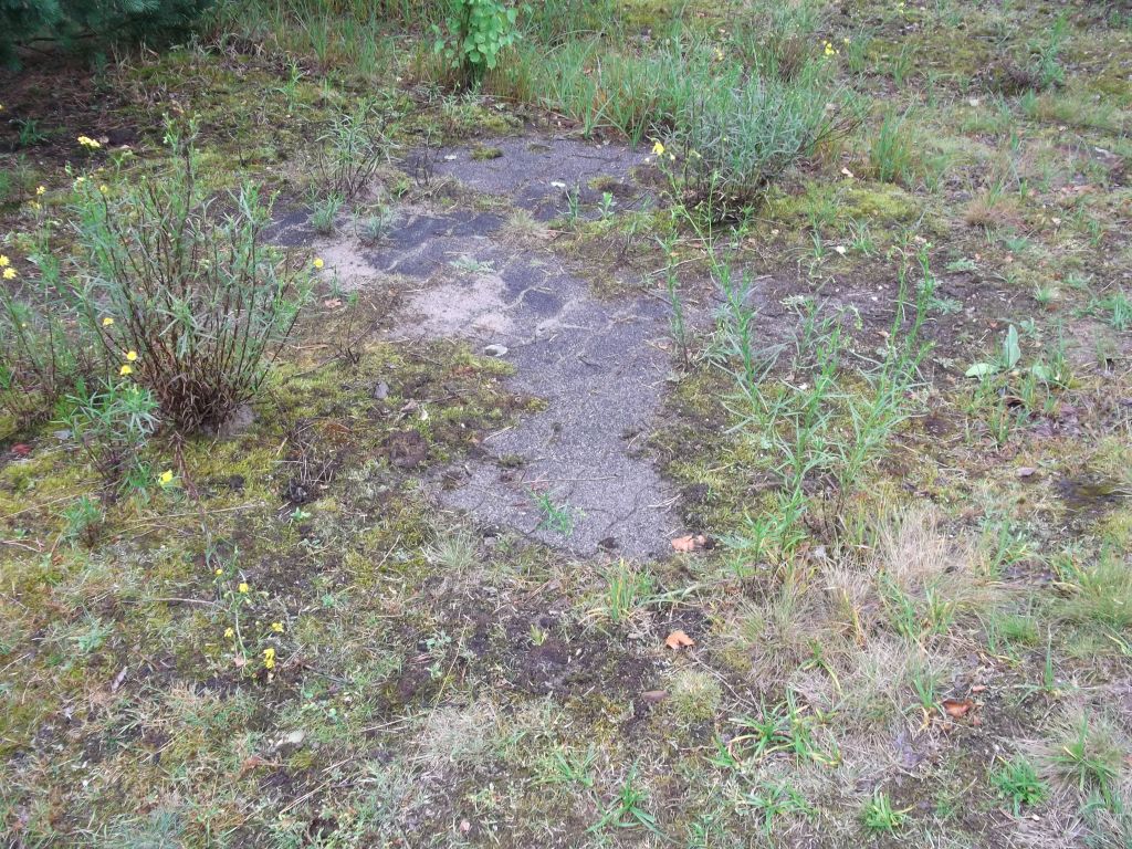 DSCF0247.JPG