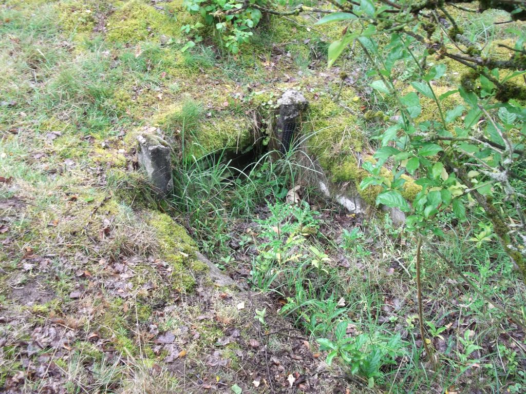 DSCF0248.JPG
