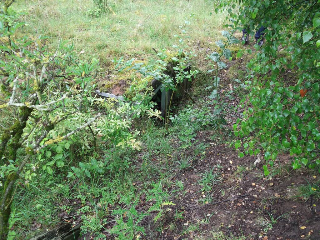 DSCF0249.JPG