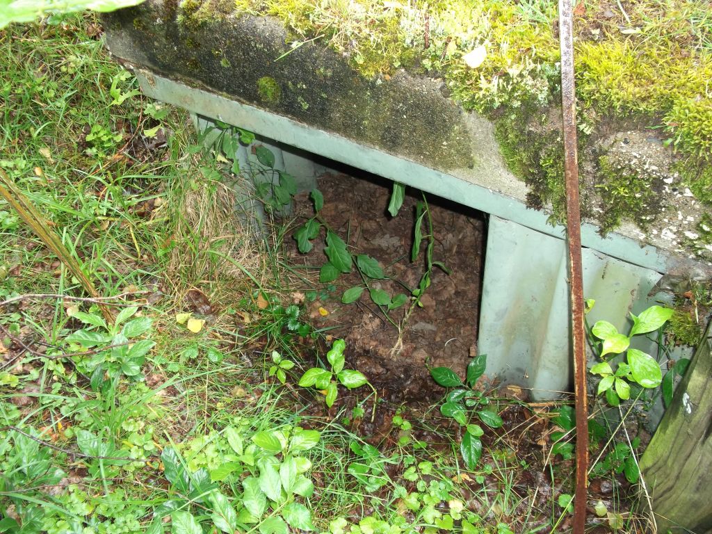 DSCF0251.JPG