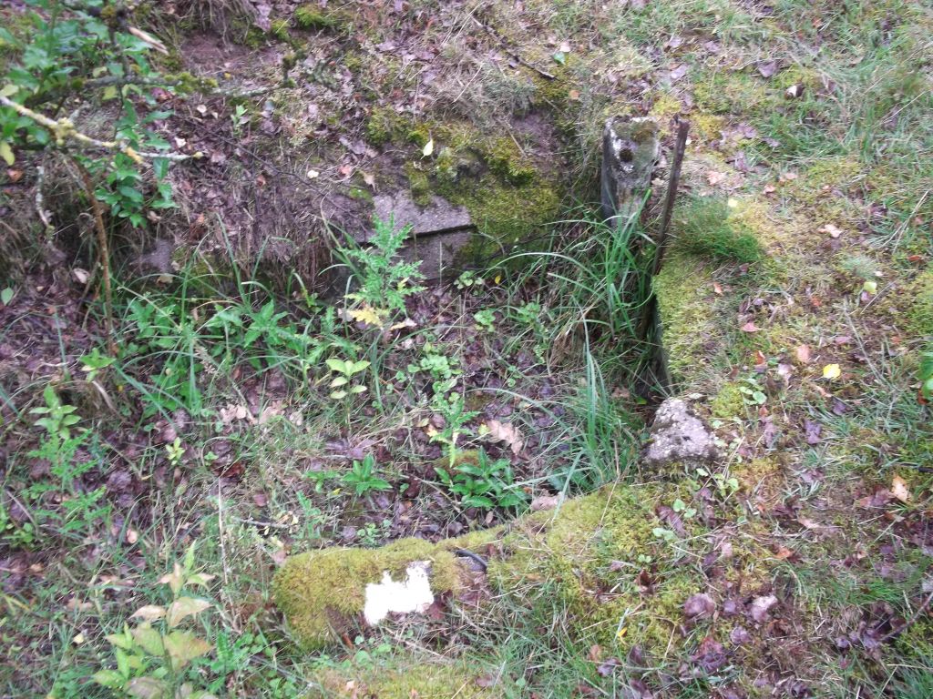 DSCF0253.JPG