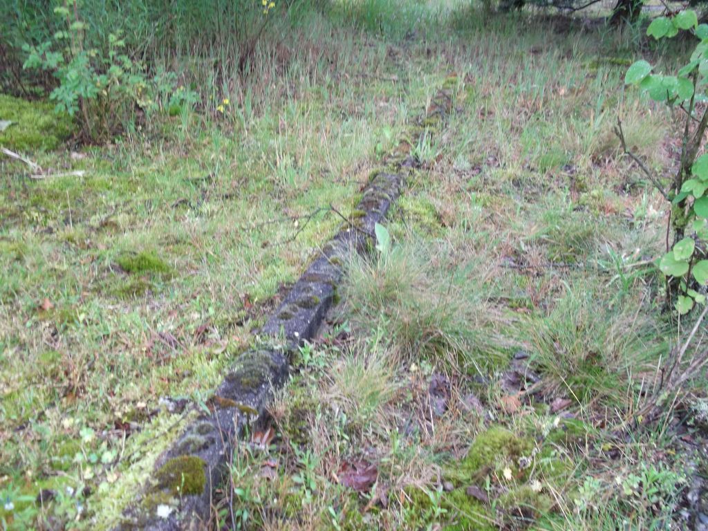 DSCF0254.JPG