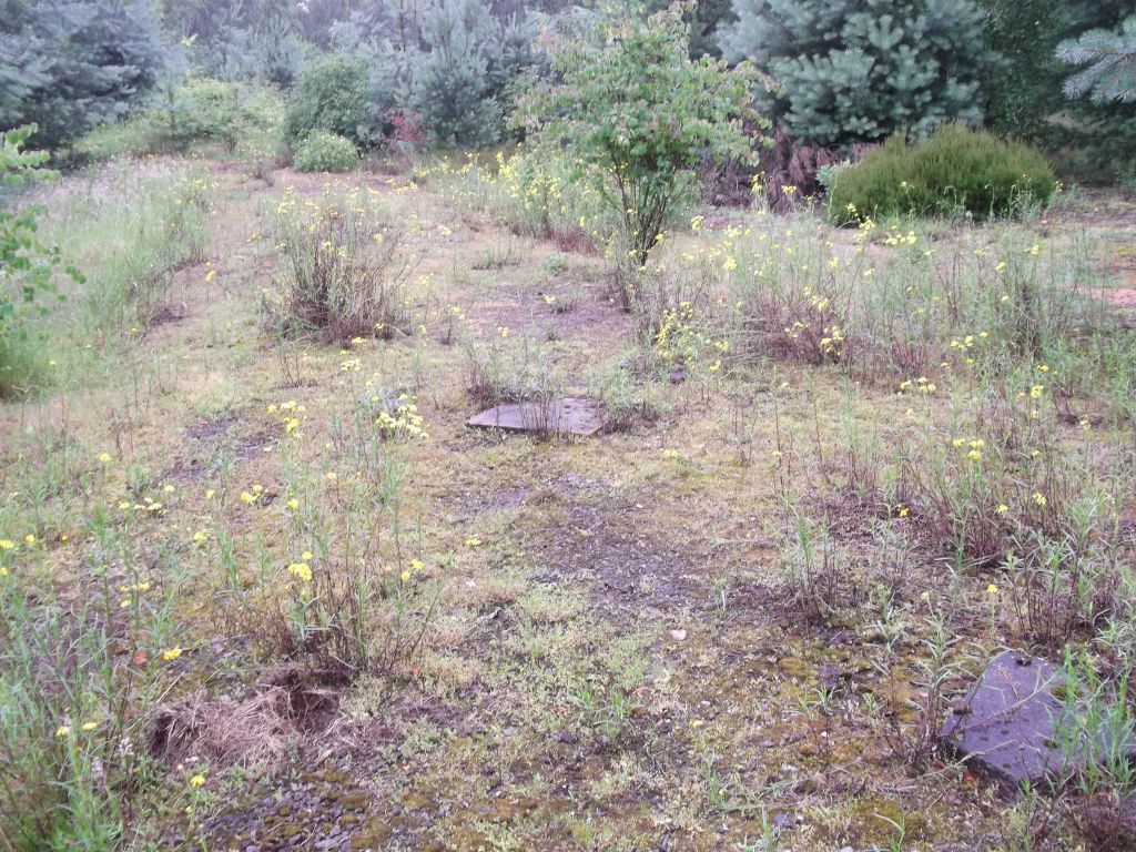 DSCF0256.JPG