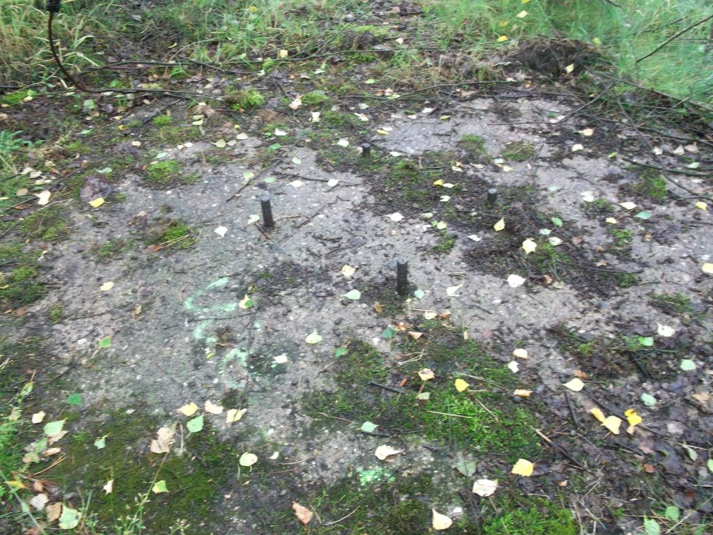 DSCF0262.JPG