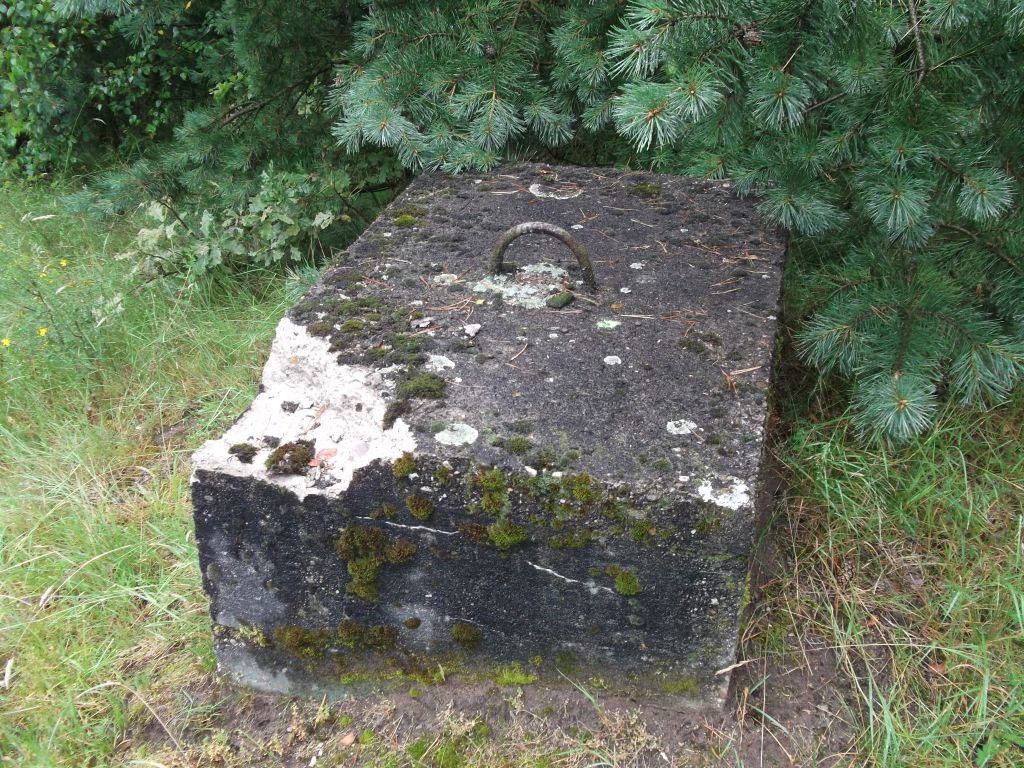DSCF0265.JPG